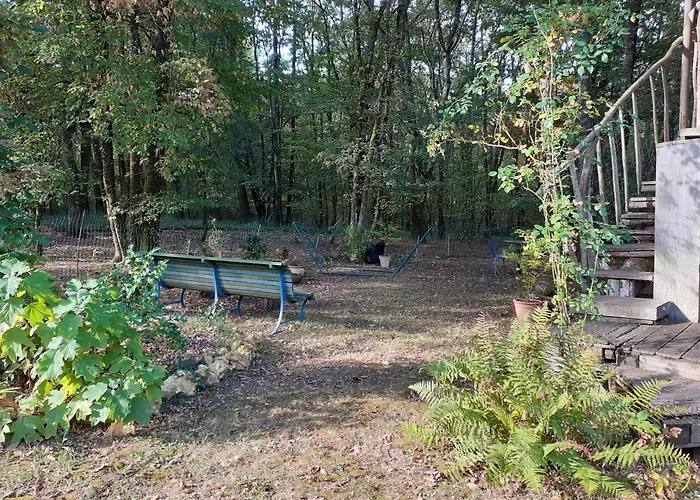 La Cabane De L\'Oiseau