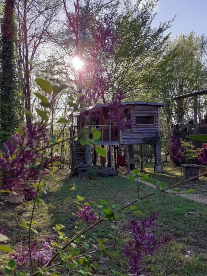La De L'oiseau Bed & Breakfast